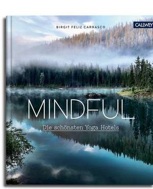 Mindful de Birgit Feliz Carrasco