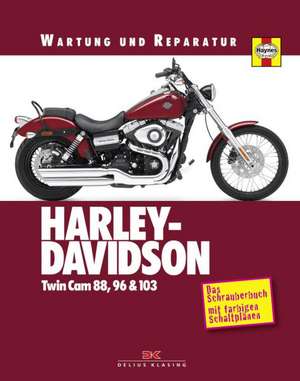 Harley Davidson TwinCam 88/96 & 103 de Alan Ahlstrand