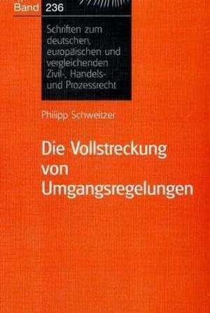 Die Vollstreckung von Umgangsregelungen de Philipp Schweitzer