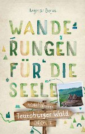 Teutoburger Wald. Wanderungen für die Seele de Ingmar Bojes