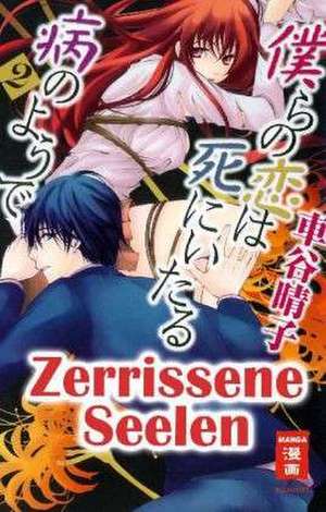 Zerrissene Seelen 02 de Haruko Kurumatani