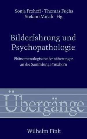 Bilderfahrung und Psychopathologie de Thomas Fuchs