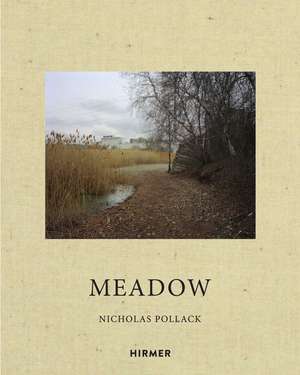 Nicholas Pollack: Meadow de Nicholas Pollack