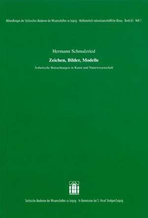 Zeichen, Bilder, Modelle. Ästethische Betrachtungen in Kunst und Naturwissenschaft de Hermann Schmalzried