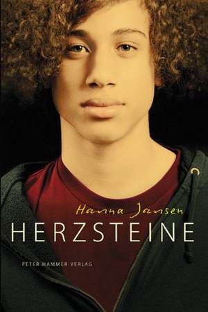 Herzsteine de Hanna Jansen