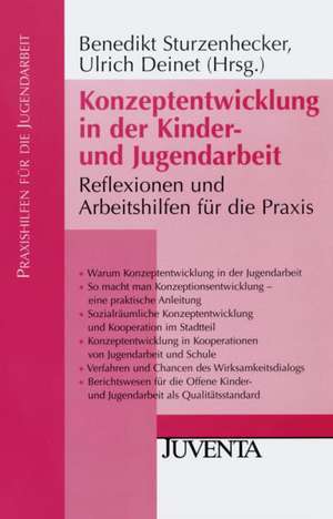 Konzeptentwicklung in der Kinder- und Jugendarbeit de Benedikt Sturzenhecker