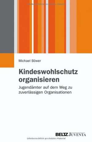 Kindeswohlschutz organisieren de Michael Böwer