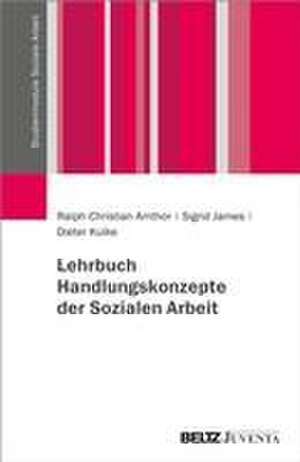 Lehrbuch Handlungskonzepte der Sozialen Arbeit de Ralph-Christian Amthor