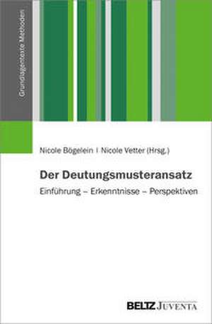 Der Deutungsmusteransatz de Nicole Bögelein