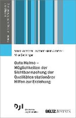 Gute Heime - Möglichkeiten der Sichtbarmachung der Qualitäten stationärer Hilfen zur Erziehung de Maria Burschel