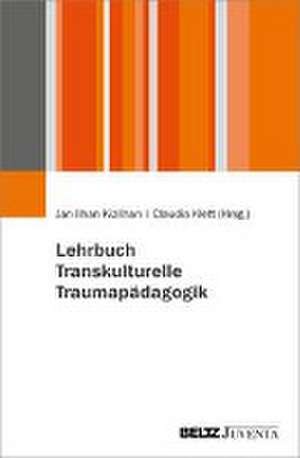 Lehrbuch Transkulturelle Traumapädagogik de Jan Ilhan Kizilhan