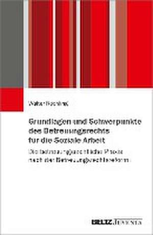 Grundlagen und Schwerpunkte des Betreuungsrechts für die Soziale Arbeit de Walter Röchling