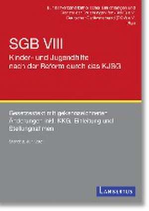 SGB VIII - Kinder- und Jugendhilfe nach der Reform durch das KJSG de Bundesverband Caritas