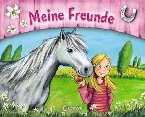 Meine Freunde: Ponyhof de Heike Vogel