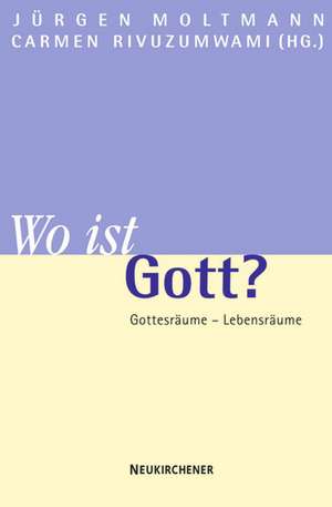 Wo ist Gott? de Jürgen Moltmann