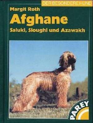 Afghane, Saluki, Sloughi und Azawakh de Margit Roth