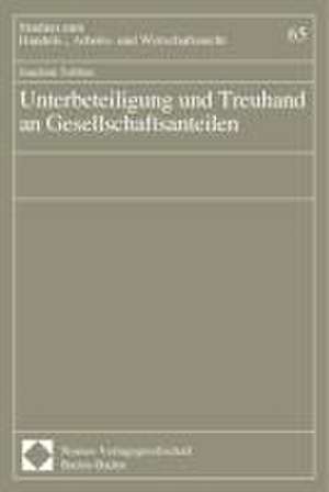 Unterbeteiligung und Treuhand an Gesellschaftsanteilen de Joachim Tebben