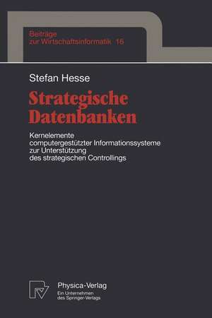 Strategische Datenbanken: Kernelemente computergestützter Infomationssysteme zur Unterstützung des strategischen Controllings de Stefan Hesse