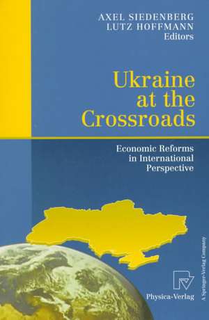 Ukraine at the Crossroads: Economic Reforms in International Perspective de Axel Siedenberg