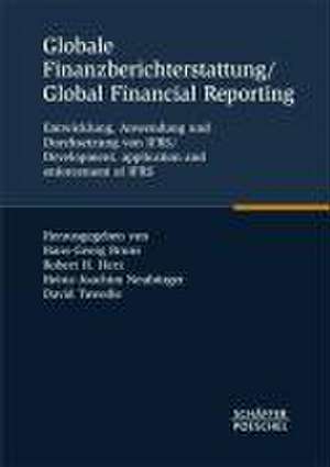 Globale Finanzberichterstattung / Global Financial Reporting de Hans-Georg Bruns