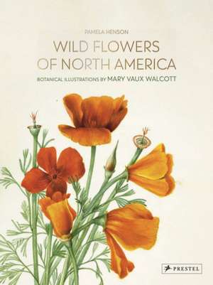 Wild Flowers of North America de Pamela Henson