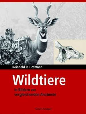 Wildtiere in Bildern zur Vergleichenden Anatomie de Reinhold R. Hofmann