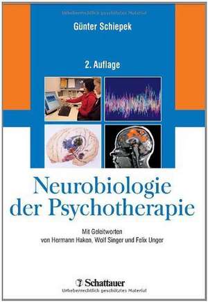 Neurobiologie der Psychotherapie de Günter Schiepek