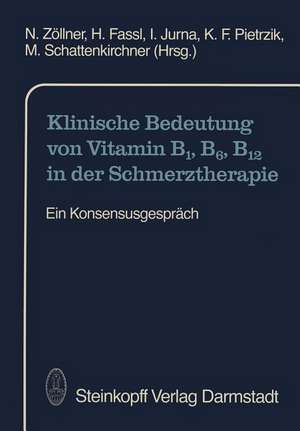 Klinische Bedeutung von Vitamin B1, B6, B12 in der Schmerztherapie: Ein Konsensusgespräch de N. Zöllner