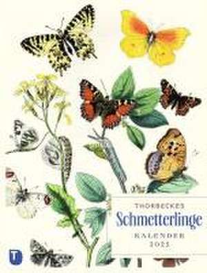 Thorbeckes Schmetterlinge-Kalender 2025