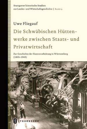 Die Schwäbischen Hüttenwerke zwischen Staats- und Privatwirtschaft de Uwe Fliegauf