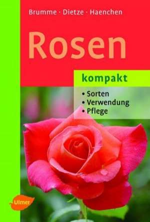 Rosen kompakt de Hella Brumme