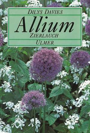 Allium, Zierlauch de Dilys Davies