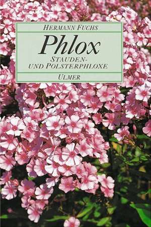 Phlox de Hermann Fuchs