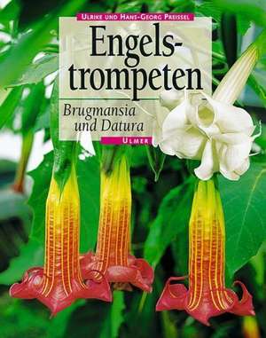 Engelstrompeten. Brugmansia und Datura de Ulrike Preißel