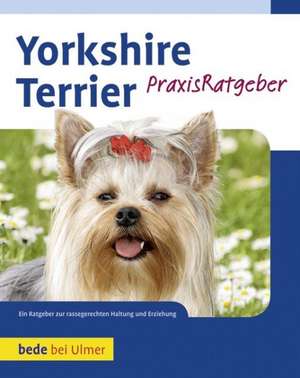 Yorkshire Terrier de Rudolf Schließer