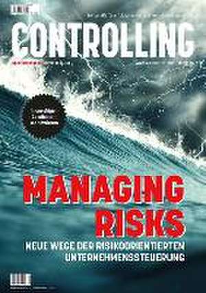 Managing Risks de Ulrike Baumöl