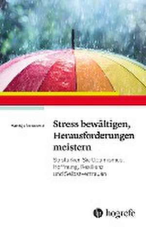 Stress bewältigen, Herausforderungen meistern de Matthijs Steeneveld