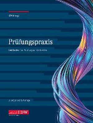 Prüfungspraxis de Institut der Wirtschaftsprüfer in Deutschland e. V.