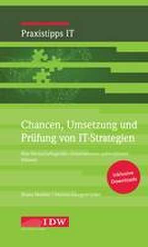 Chancen, Umsetzung und Prüfung von IT-Strategien de Diana Nestler