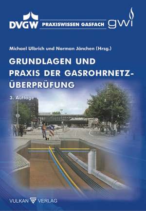 Grundlagen und Praxis der Gasrohrnetz-Überprüfung de Michael Ulbrich