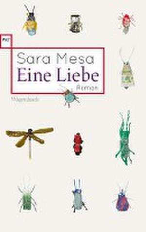 Eine Liebe de Sara Mesa