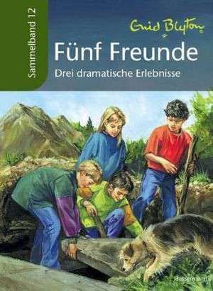 Fünf Freunde Sammelband 12. Drei dramatische Erlebnisse de Enid Blyton