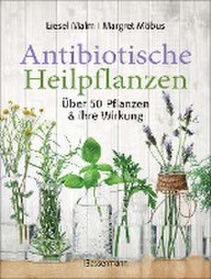 Antibiotische Heilpflanzen de Liesel Malm