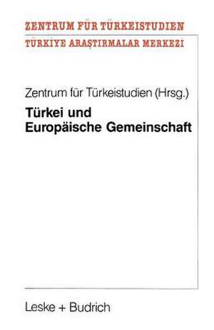 Türkei und Europäische Gemeinschaft: Eine Untersuchung zu positiven Aspekten eines potentiellen EG-Beitritts der Türkei für die Europäische Gemeinschaft de Kenneth A. Loparo