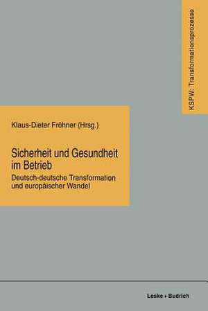 Sicherheit und Gesundheit im Betrieb: Deutsch-deutsche Transformation und europäischer Wandel de Klaus-Dieter Fröhner