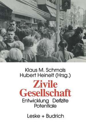 Zivile Gesellschaft: Entwicklung, Defizite und Potentiale de Klaus M. Schmals