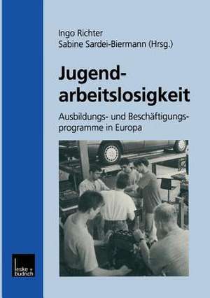 Jugendarbeitslosigkeit: Ausbildungs- und Beschäftigungsprogramme in Europa de Ingo Richter