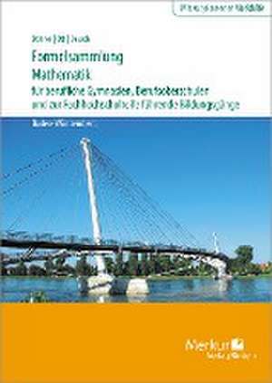 Formelsammlung Mathematik für berufliche Gymnasien, Berufsoberschulen und zur Fachhochschulreife führende Bildungsgänge de Kurt Bohner