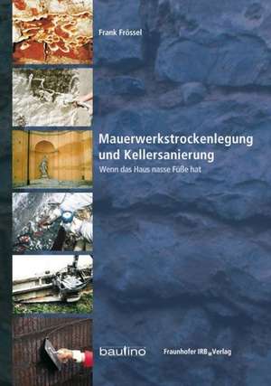 Mauerwerkstrockenlegung und Kellersanierung de Frank Frössel