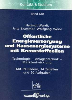 Öffentliche Energieversorgung und Hausenergiesysteme mit Brennstoffzellen